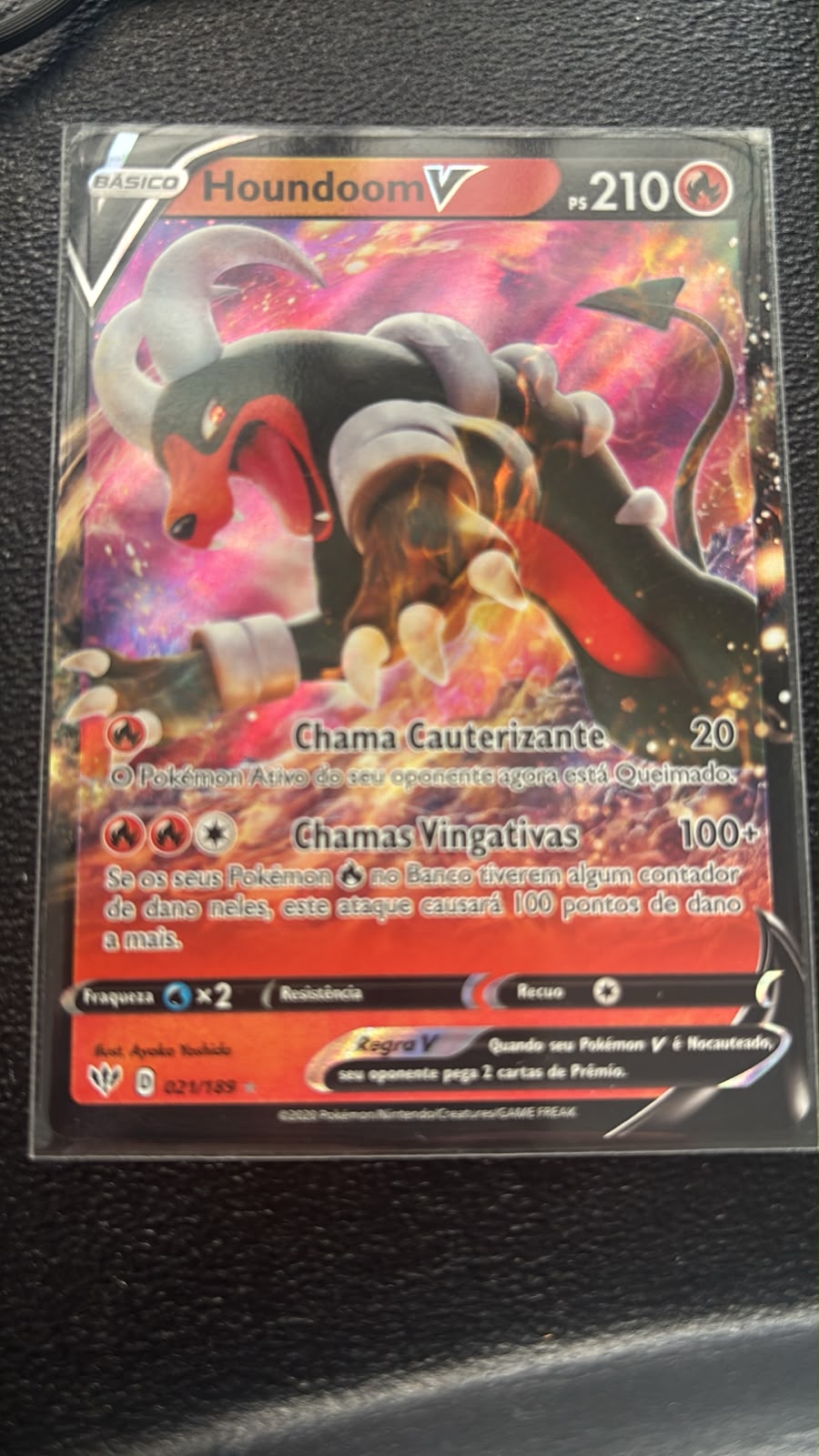 Houndoom-V