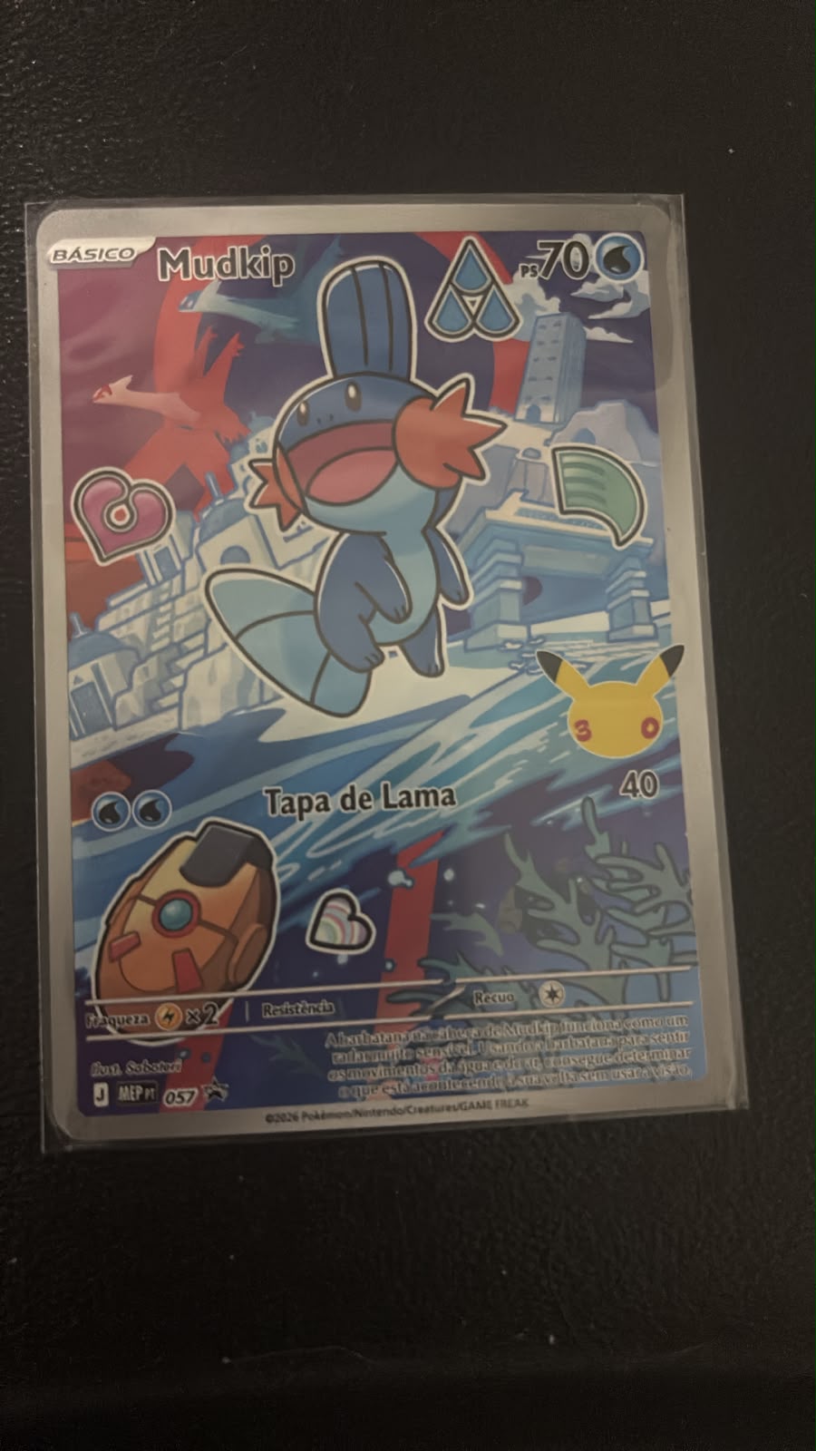 Mudkip