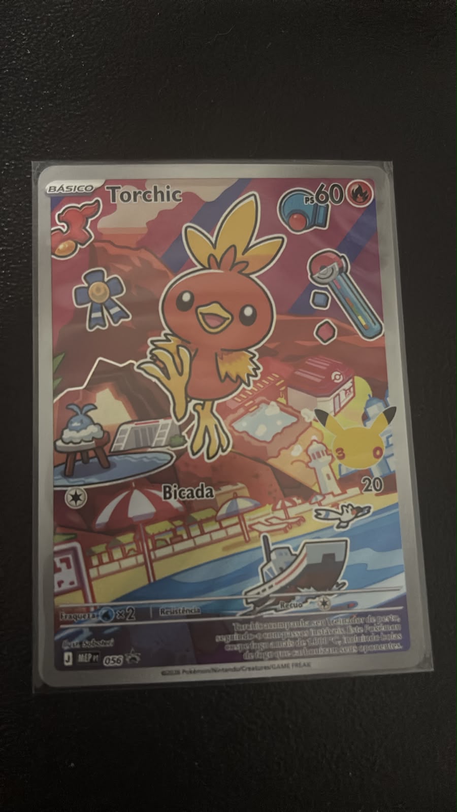 Torchic